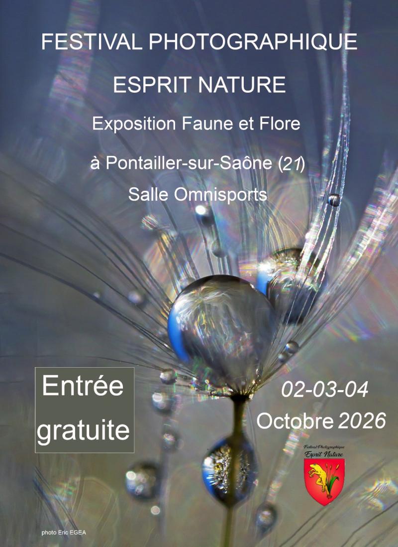 gouttes d'eau sur une plante