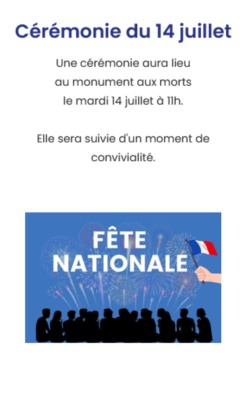 personnes qui regardent un feu d'artifices