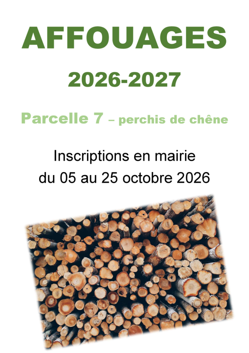 pile de bois