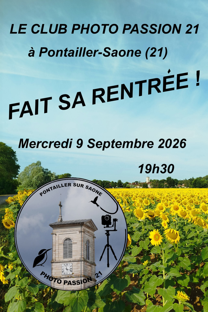 photo de Pontailler depuis un champ de tournesol
