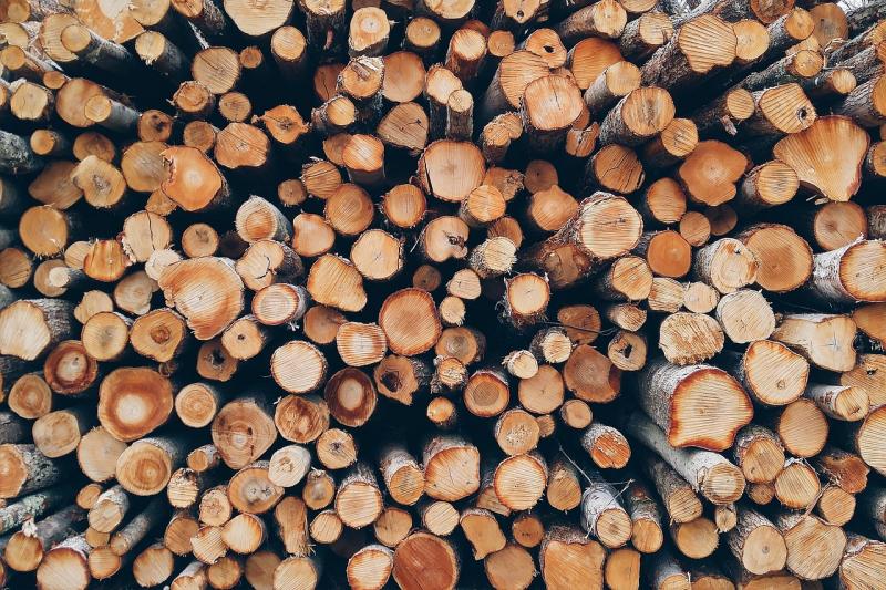 pile de bois